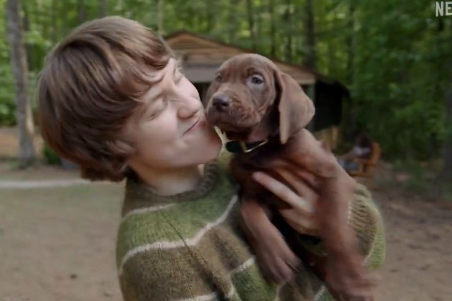 ‘Scooby-Doo’: Netflix divulga primeira imagem do icônico cachorro investigador