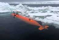 Submarino descobre mundo oculto na Antártica e some logo em seguida