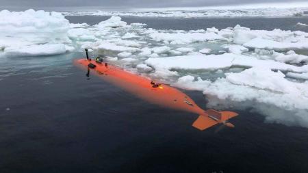 Submarino descobre mundo oculto na Antártica e some logo em seguida