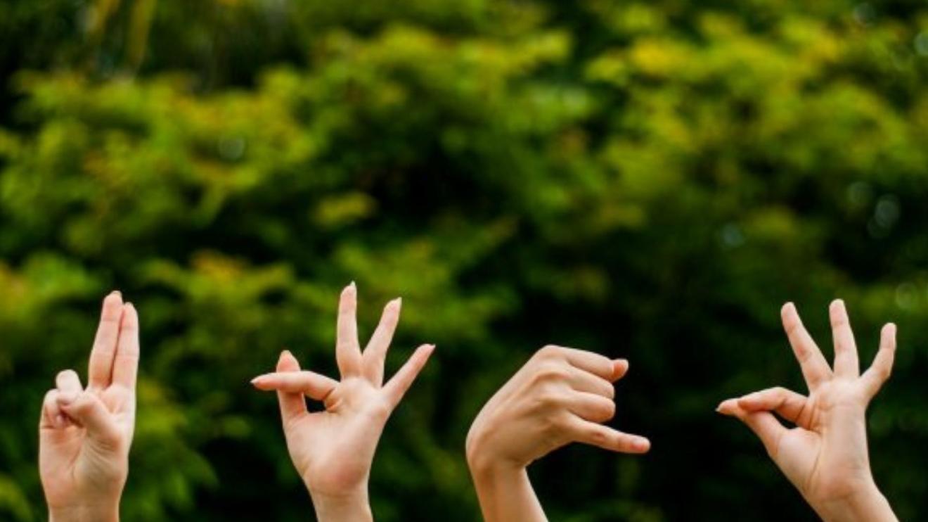 Seminário debate práticas e desafios da educação inclusiva em Juiz de Fora