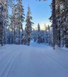 Levi, na Lapônia finlandesa
