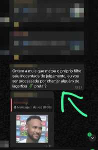 • Imagens cedidas à Itatiaia