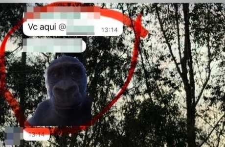 • Imagens cedidas à Itatiaia
