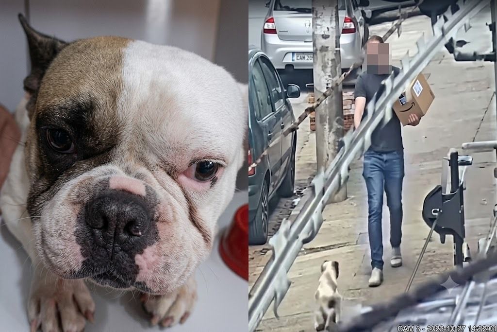 Sargento suspeito de atirar em cachorro, em BH, se entrega à polícia