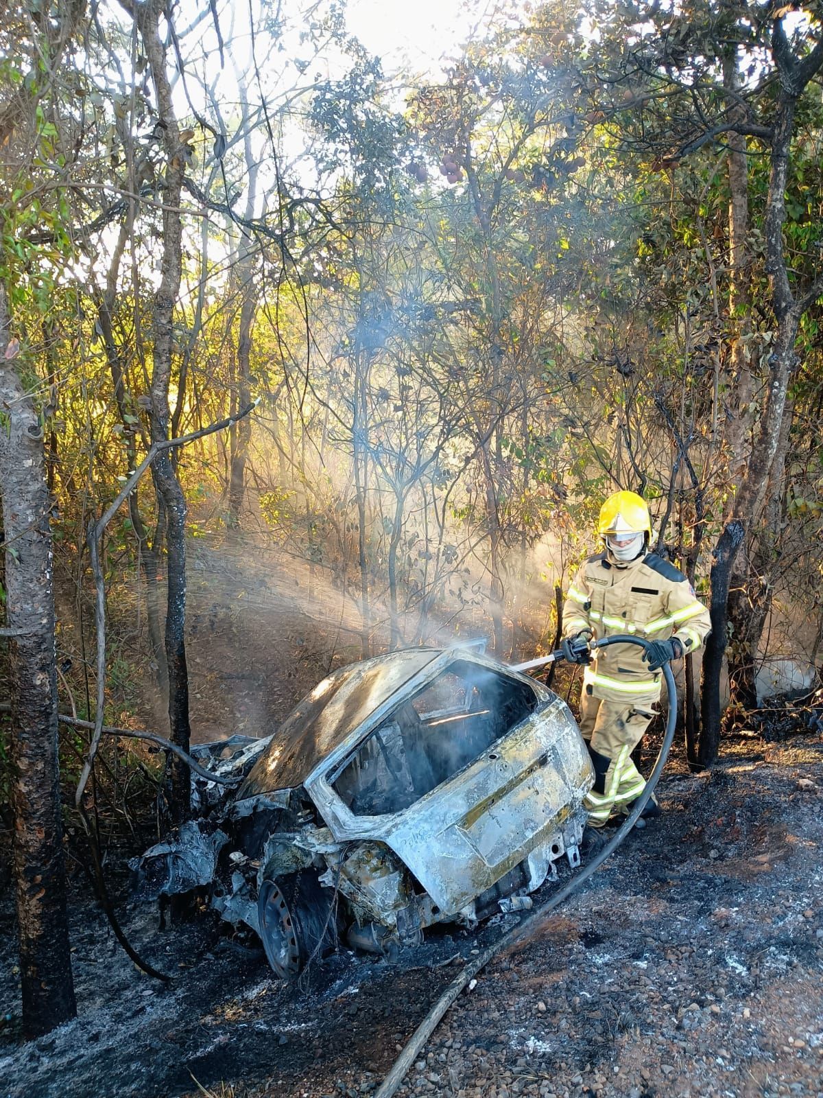 Jovem morre após colisão frontal e incêndio de veículo na MGC-135, em Engenheiro Navarro