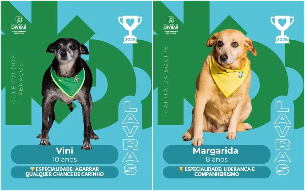 Campanha de adoção em MG transforma cães em figurinhas da Copa; entenda