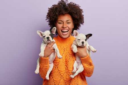 Conviver com animais pode melhorar a qualidade de vida