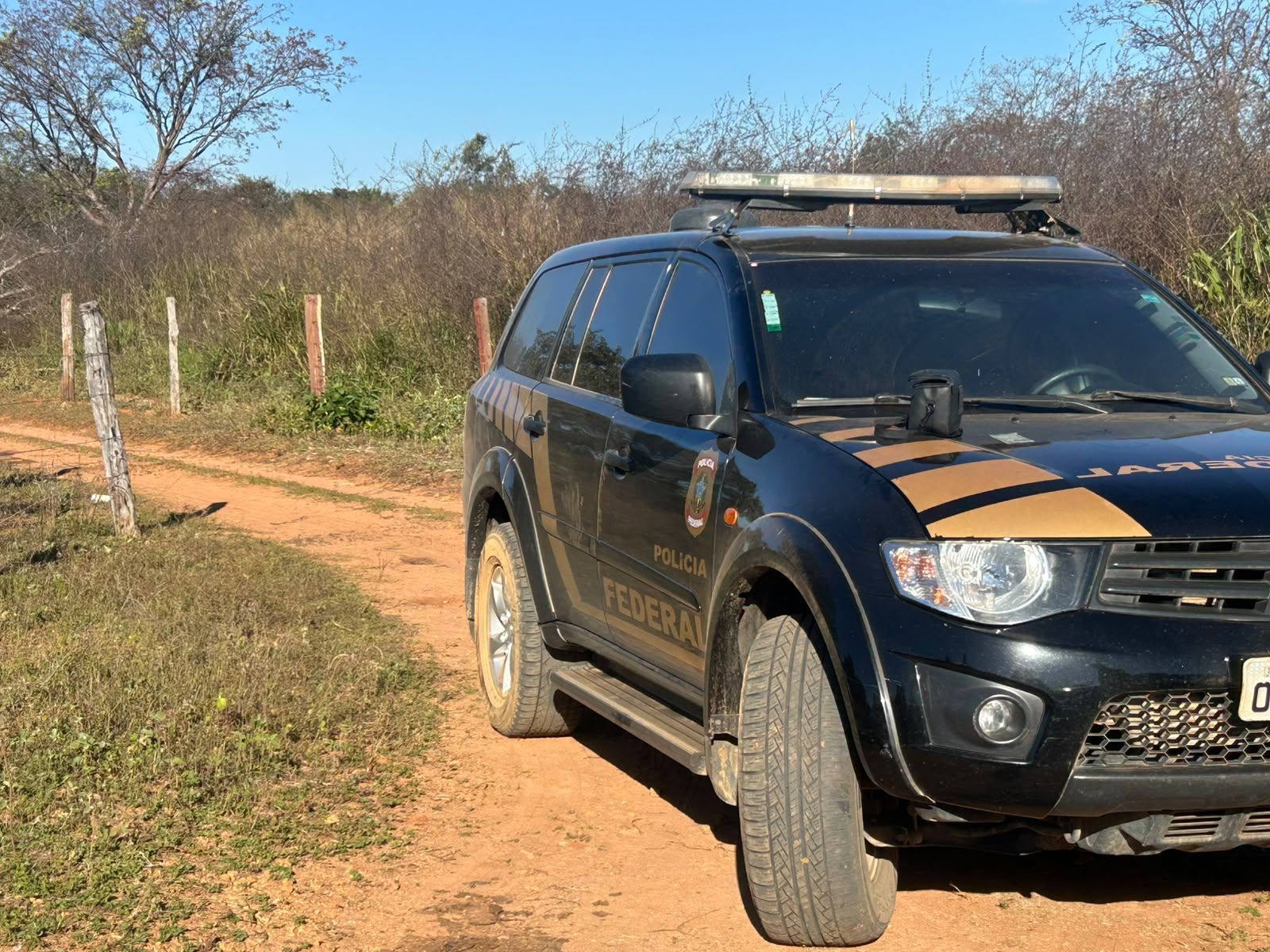 Jovem é preso em São Francisco por armazenar mais de 1.600 mídias de abuso infantil