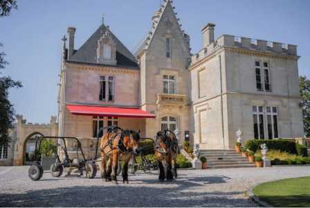 Château Pape-Clément, na França • Divulgação
