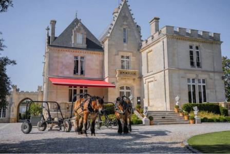 Château Pape-Clément, na França • Divulgação