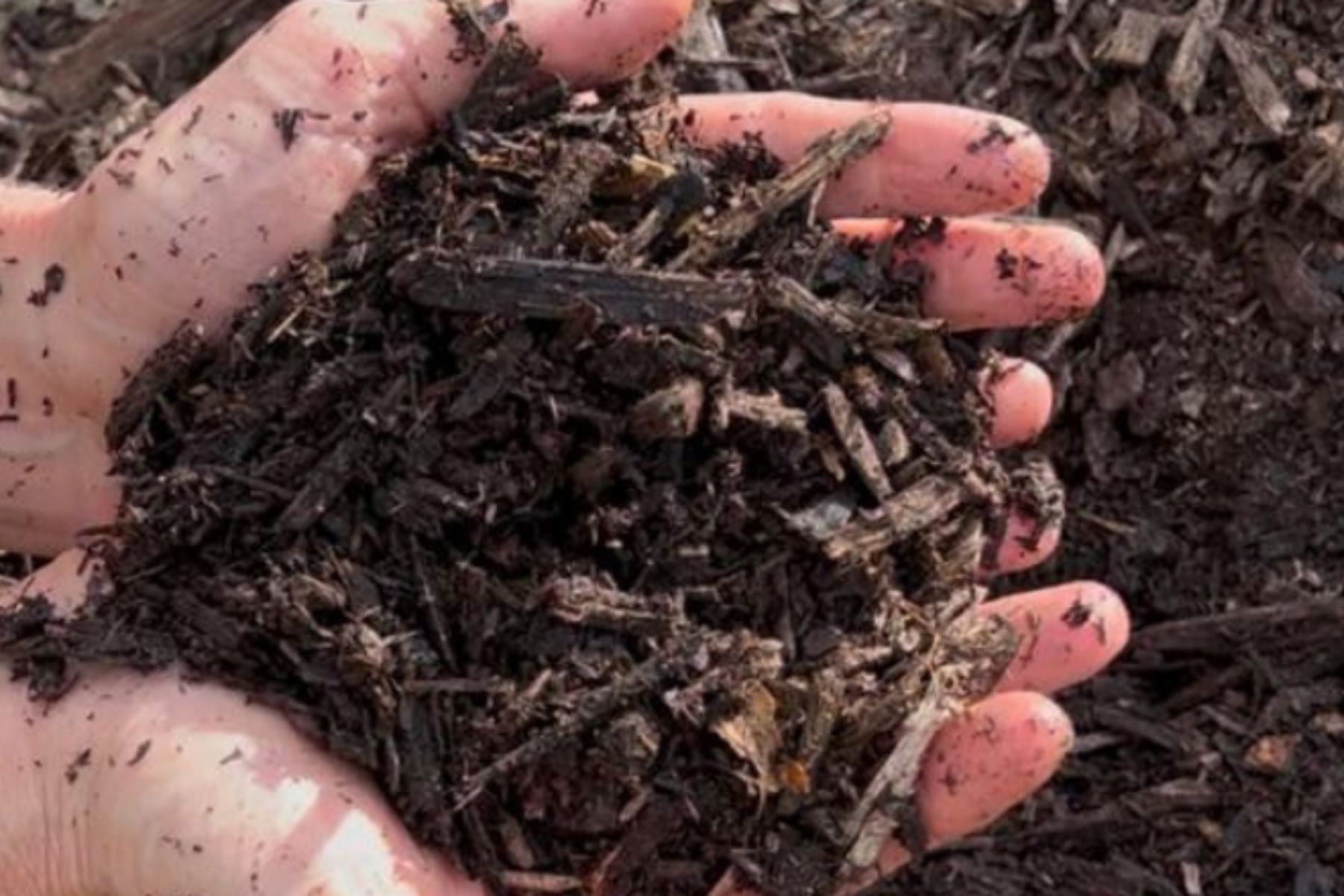 Terra Boa: entrega gratuita de composto orgânico será nesta terça (30)
