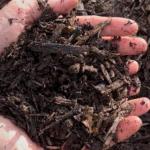 Terra Boa: entrega gratuita de composto orgânico será nesta terça (30)