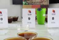 Cafeicultores já podem se inscrever no concurso de qualidade da Emater-Minas