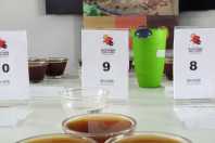 Cafeicultores já podem se inscrever no concurso de qualidade da Emater-Minas