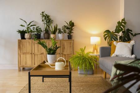 De acordo com o Feng Shui, um ambiente harmônico é ideal para uma vida mais próspera e repleta de boas energias