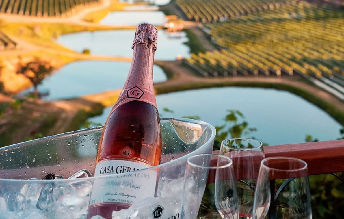 Vinhos mineiros se destacam e levam ouro em concurso mundial