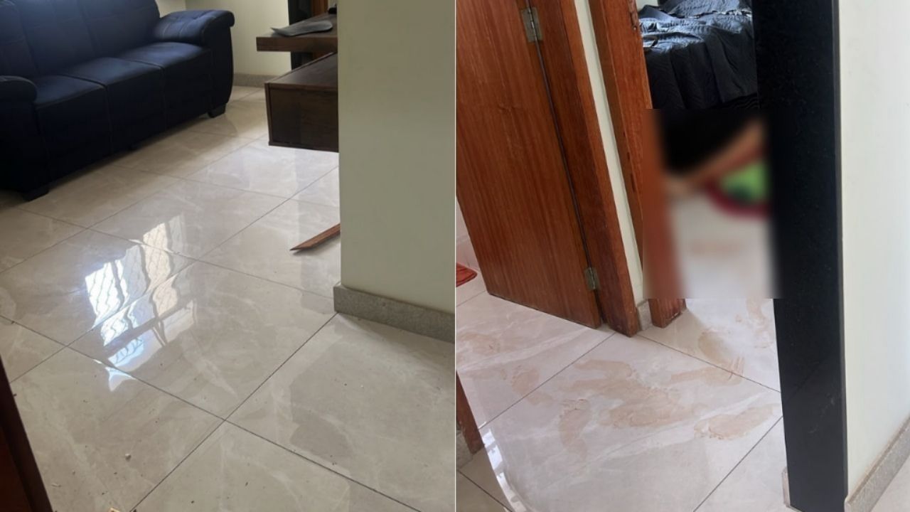 Homem que decapitou a mãe em BH tentou bater nela há duas semanas, diz tio