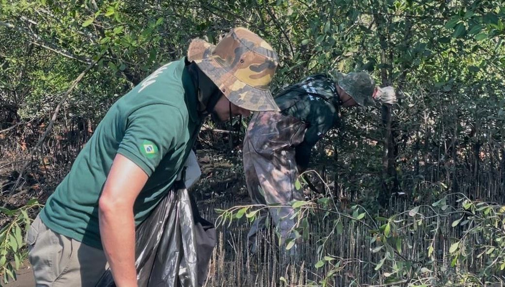 Fundação Florestal de SP abre concurso com 70 vagas e salários de até R$ 11,2 mil