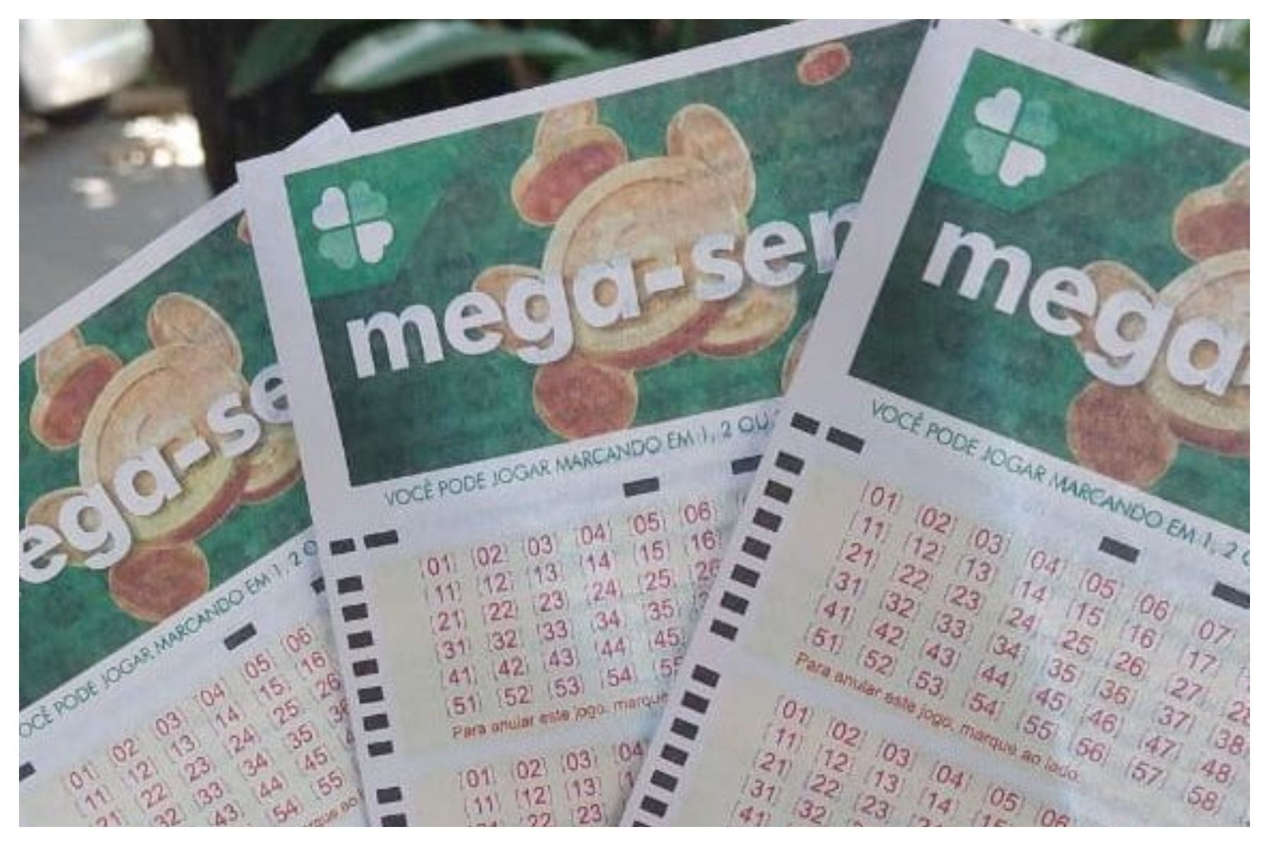 Mega-sena acumulada sorteia R$ 36 milhões nesta quinta (18); saiba como jogar