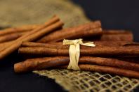 Como usar canela na terra das plantas para prevenir fungos e fortalecer o cultivo