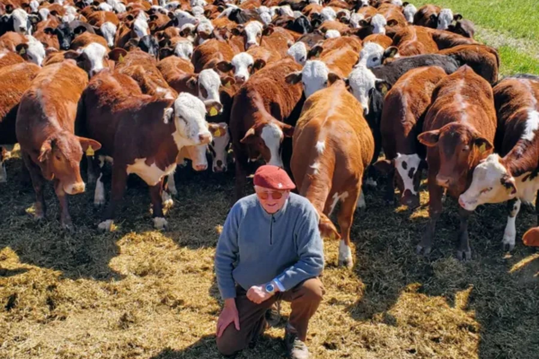 O diamante bruto da pecuária: como um desafio impossível criou império genético na Argentina