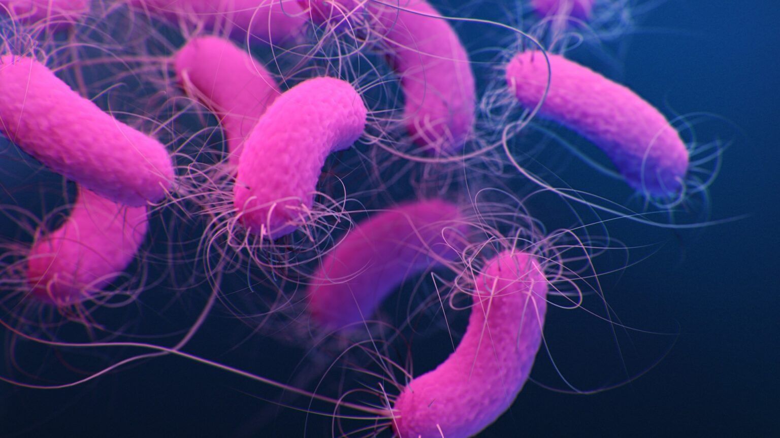 Pseudomonas aeruginosa: conheça bactéria detectada em lotes da Crystal e da Ypê