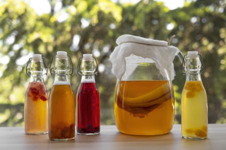 Fermentada e levemente gaseificada, a kombucha ganha versões com frutas e guaraná que unem aroma marcante e refrescância