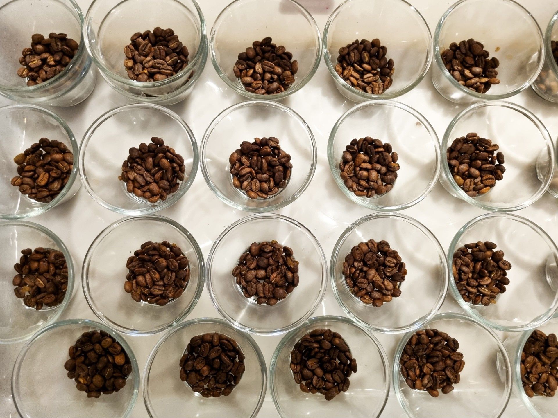 Concurso de qualidade dos cafés de Minas abre inscrições para edição 2026
