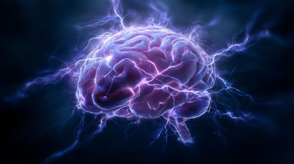 Duas origens? A nova descoberta sobre o cérebro que pegou os cientistas de surpresa