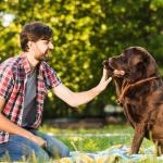 Amor pelos pets pode estar ligado a mais responsabilidade e sensibilidade, aponta estudo