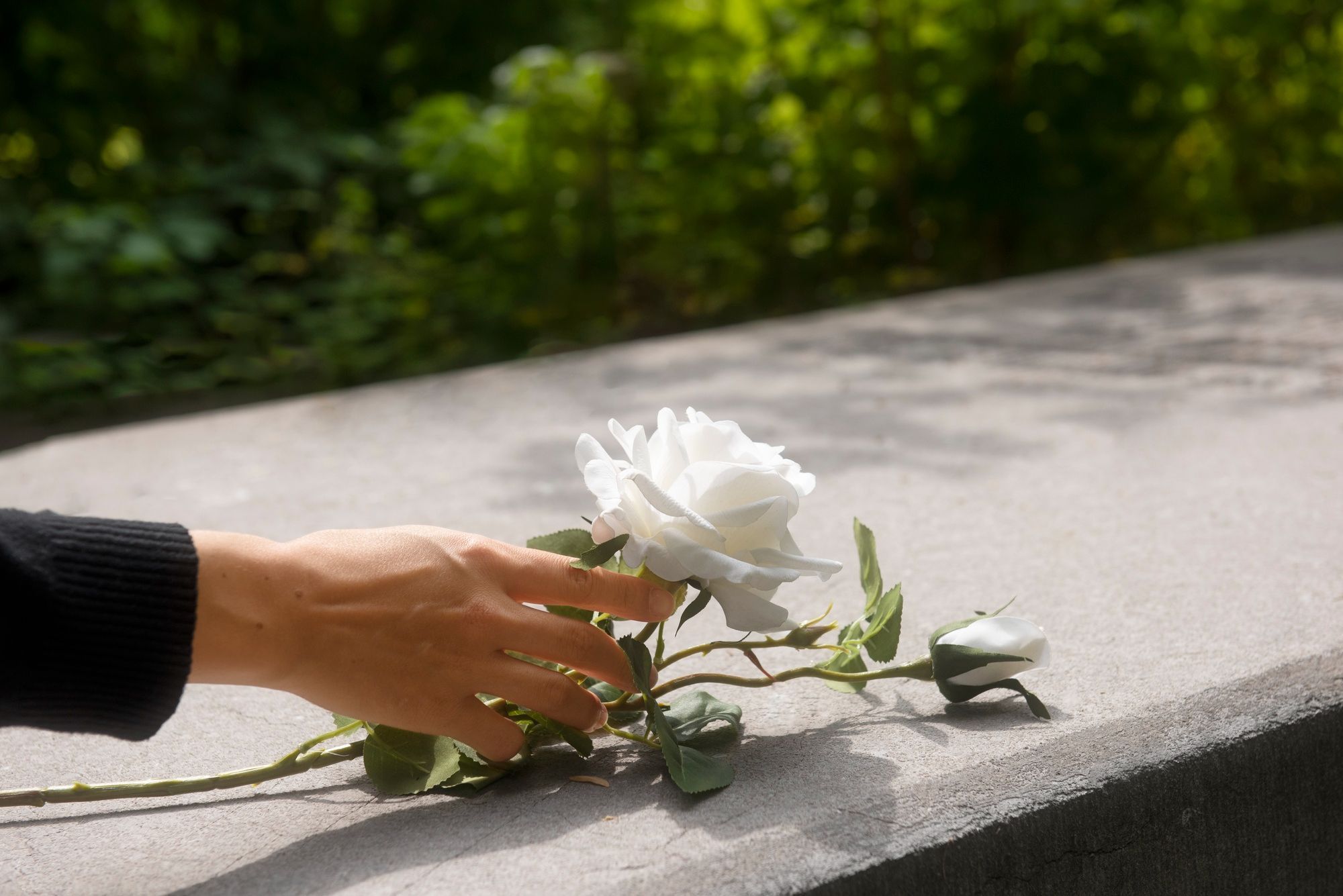 Diretor de funerária é julgado por armazenar corpos e entregar cinzas de desconhecidos