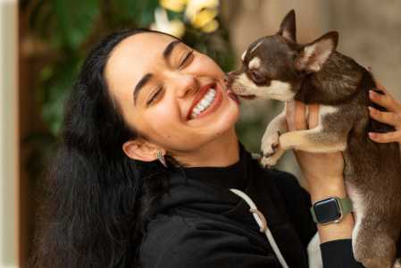 cao, cachorro
