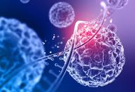 Sarcoma: conheça os sintomas, tipos e como é feito o tratamento