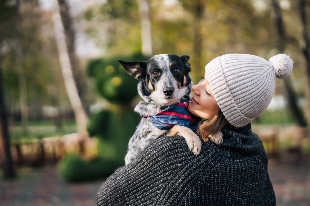 Passeios ao ar livre no frio intenso podem colocar a saúde dos cães em risco