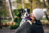 Seu cachorro vira o rosto ou boceja quando você faz carinho? Veja o que ele pode estar comunicando