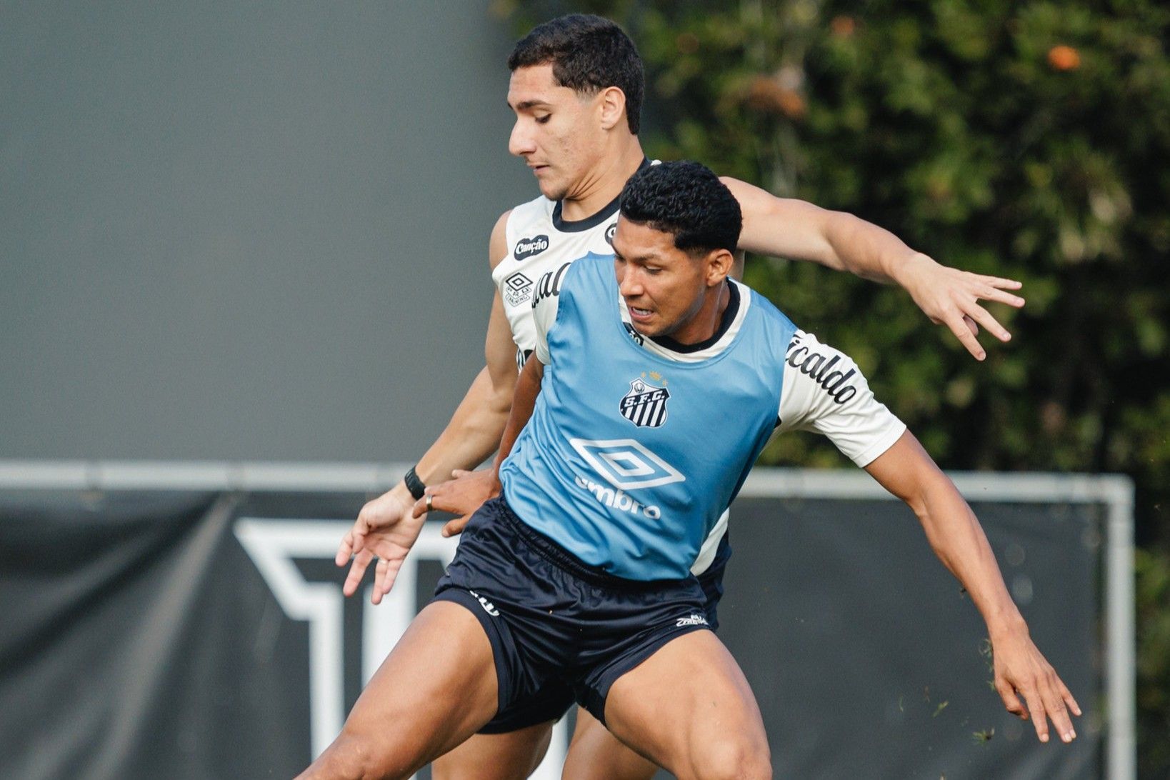 Sem Gabigol, veja opções do Santos para jogo contra Botafogo