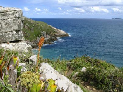 Área de Proteção Ambiental da Baleia Franca (SC)