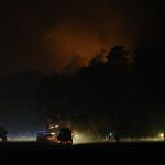 Incêndio devasta floresta perto de Paris e queima quase 800 hectares