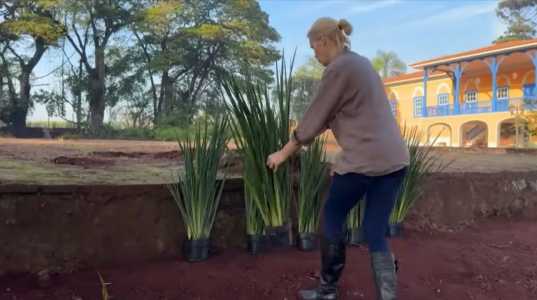 Apresentadora mostra rotina de plantio em fazenda em São Paulo.