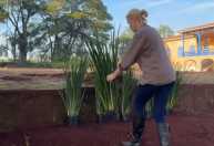 Apresentadora realiza plantio de mais de 300 mudas em nova fazenda em SP