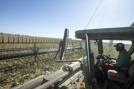 BDMG anuncia R$ 3 bilhões para a Safra 2026/2027 e apoia agricultura familiar