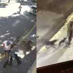 Moradores da Serra, em BH, denunciam série de ataques de cães: 'Marcas de sangue no chão'