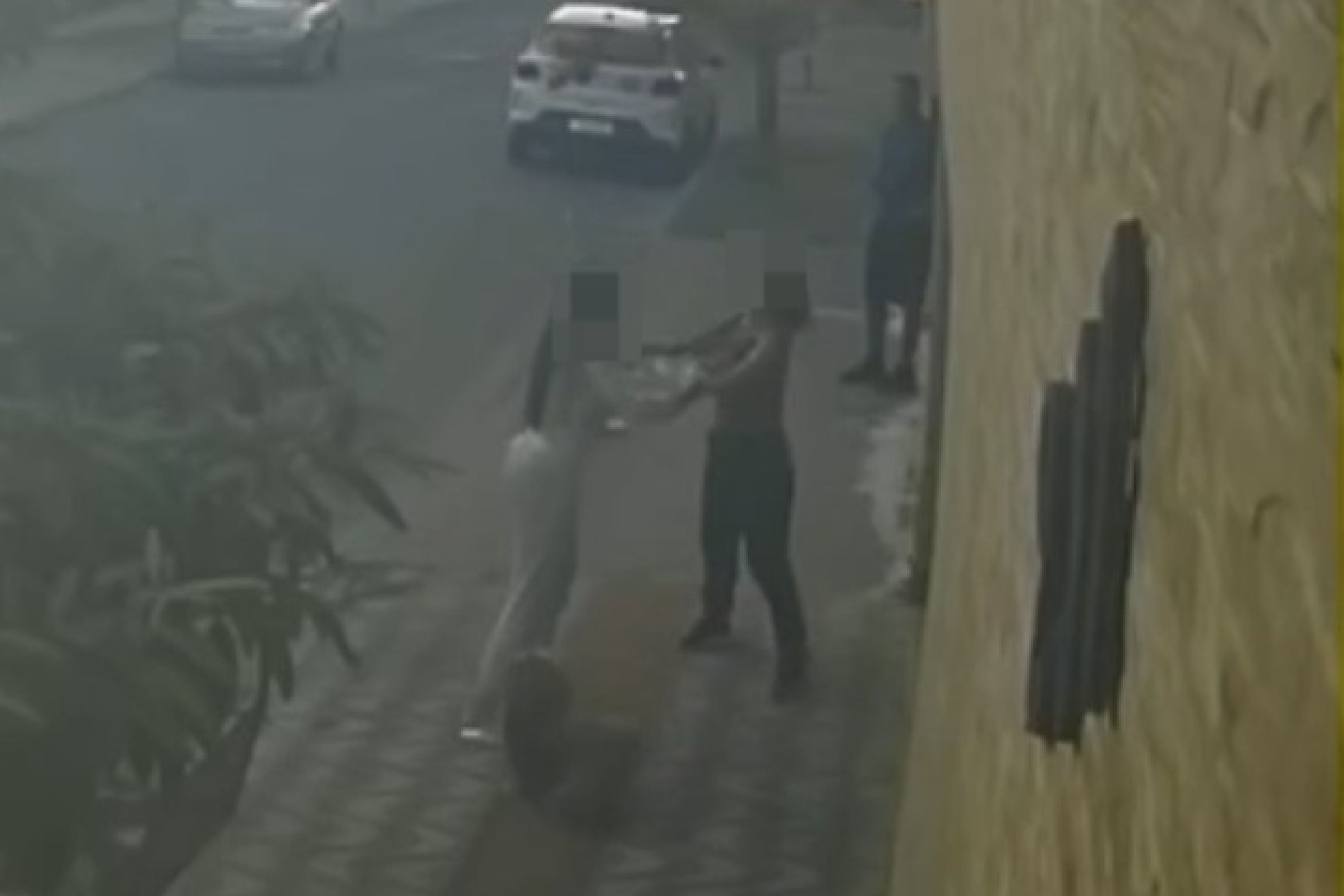 Vídeo: briga por fezes de cães em lixeira termina com mulher agredida por vizinha em Sabará