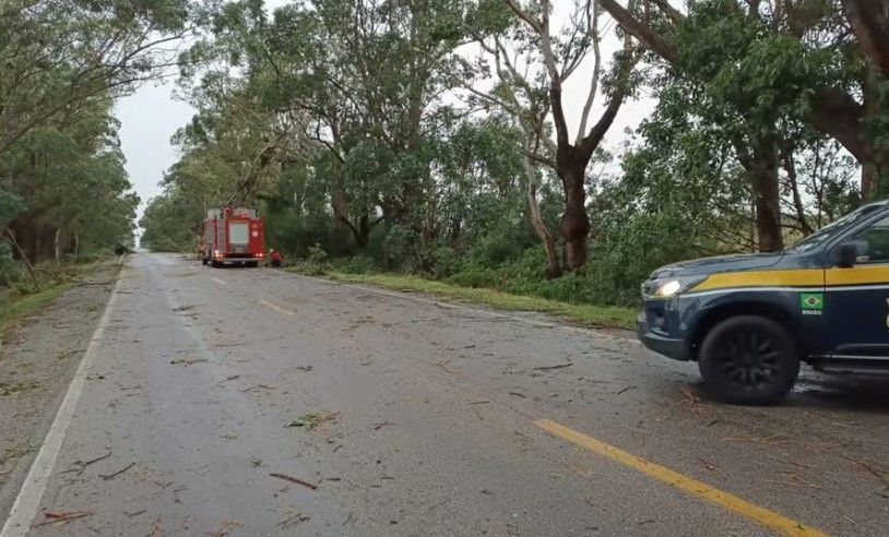 16 cidades do RS enfrentam transtornos por fortes rajadas de vento; veja a previsão