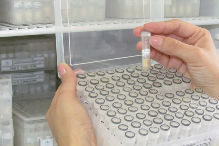 Mãos de uma pesquisadora seguram um pequeno tubo identificado com uma amostra de microrganismo em frente a uma caixa com dezenas de frascos armazenados em equipamento de laboratório refrigerado. A imagem representa a conservação de amostras biológicas para pesquisas e processos de patenteamento em biotecnologia.