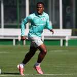 Arias retorna aos treinos do Palmeiras após Copa do Mundo
