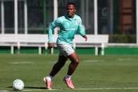 Arias retorna aos treinos do Palmeiras após Copa do Mundo