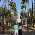 Vai chover em BH neste sábado (8)? Veja o que diz a previsão do tempo