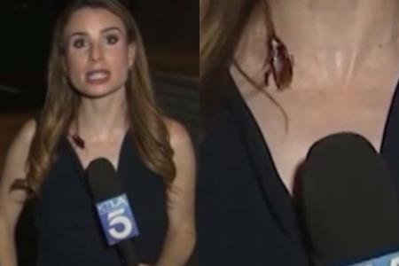 Rachel Menitoff se deparou com uma barata voadora durante entrada ao vivo