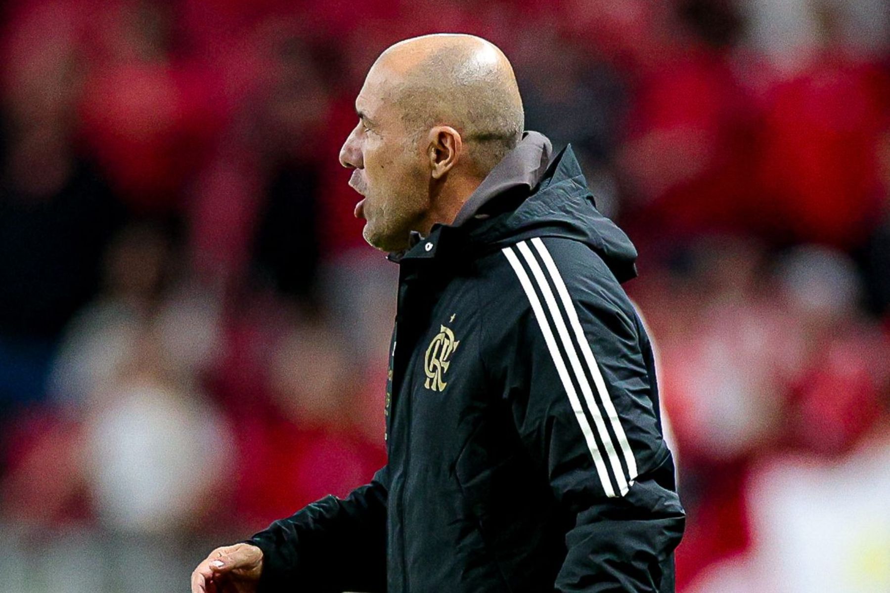 Jardim admite preocupação com Flamengo e afirma: 'Não tivemos tempo de treinar'